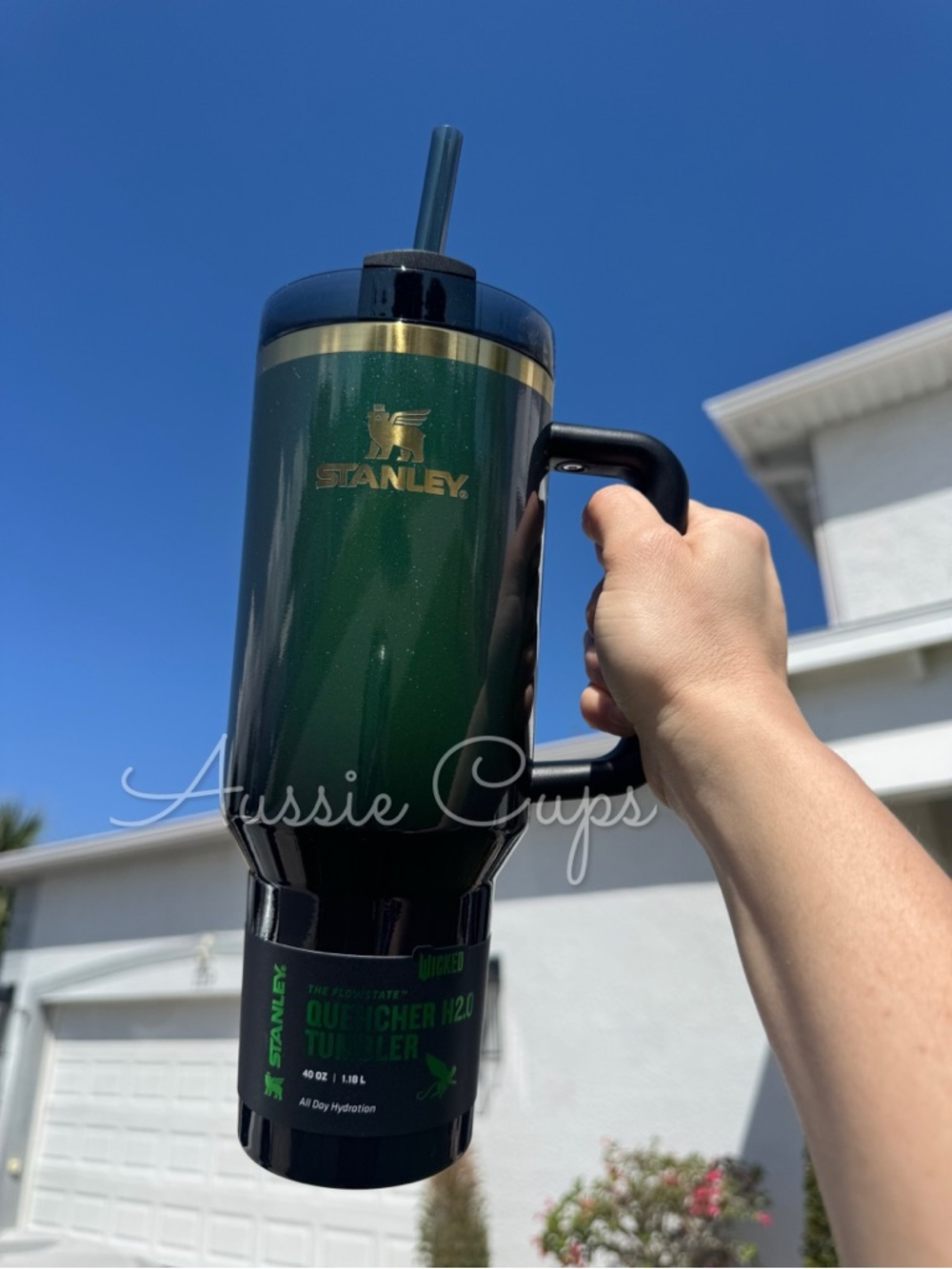 Stanley x Wicked Elphaba 2024 - Green Quencher Tumbler with Handle, bnwt